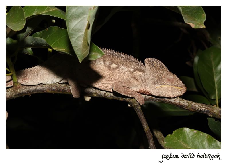 301 Moved Permanently